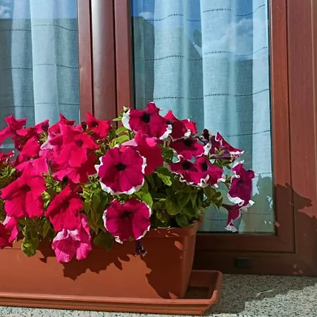 Casa Margherita Apartmán *