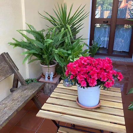 Casa Margherita Appartamento *